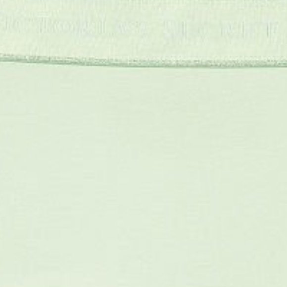 Last Pair VS XL Logo Waist Boyshort Misty Jade Light Green NWT Victoria's Secret - Picture 15 of 15